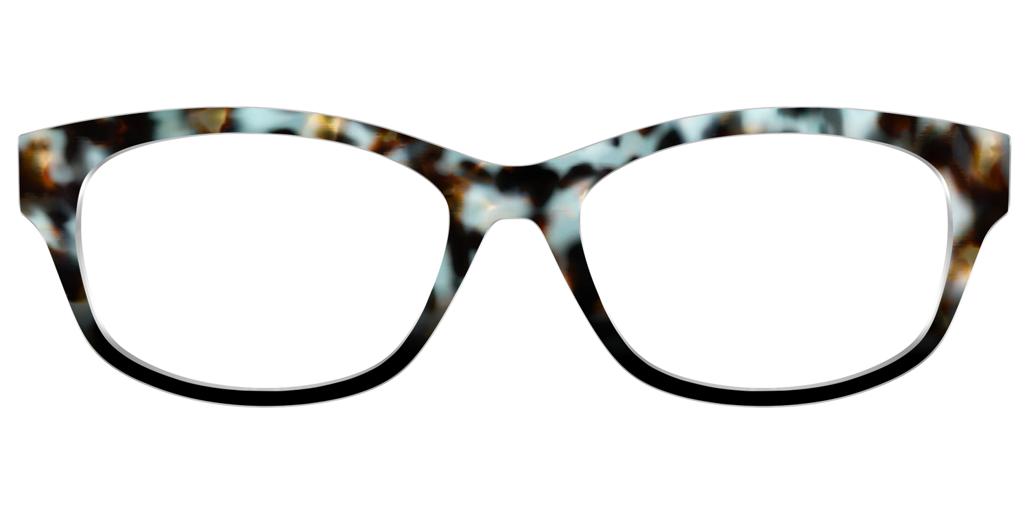 The Academic Tortoise - Front Top Image - Pair Eyewear