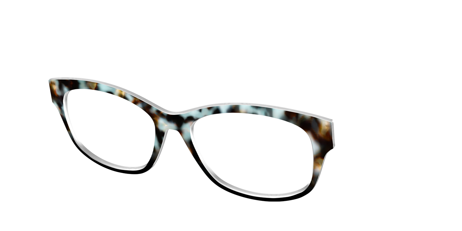 The Academic Tortoise - Angle Top Image - Pair Eyewear