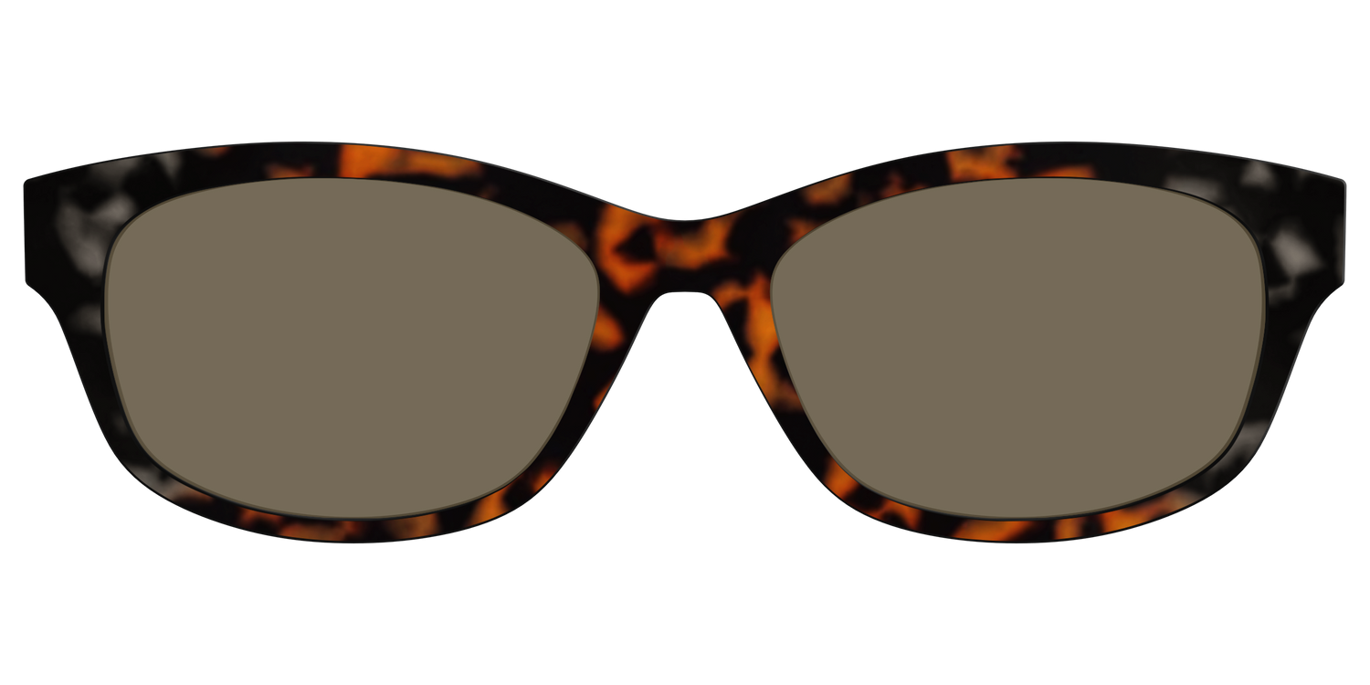 The Polarized Gray & Amber Tortoise Sun Top - Front Top Image - Pair Eyewear