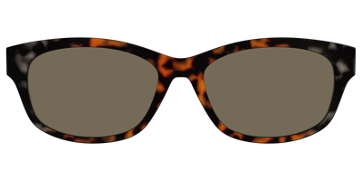 The Polarized Gray & Amber Tortoise Sun Top - Front Top Thumbnail - Pair Eyewear