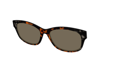 The Polarized Gray & Amber Tortoise Sun Top - Angle Top Thumbnail - Pair Eyewear