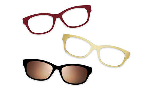 Tortoise - Set - Pair Eyewear