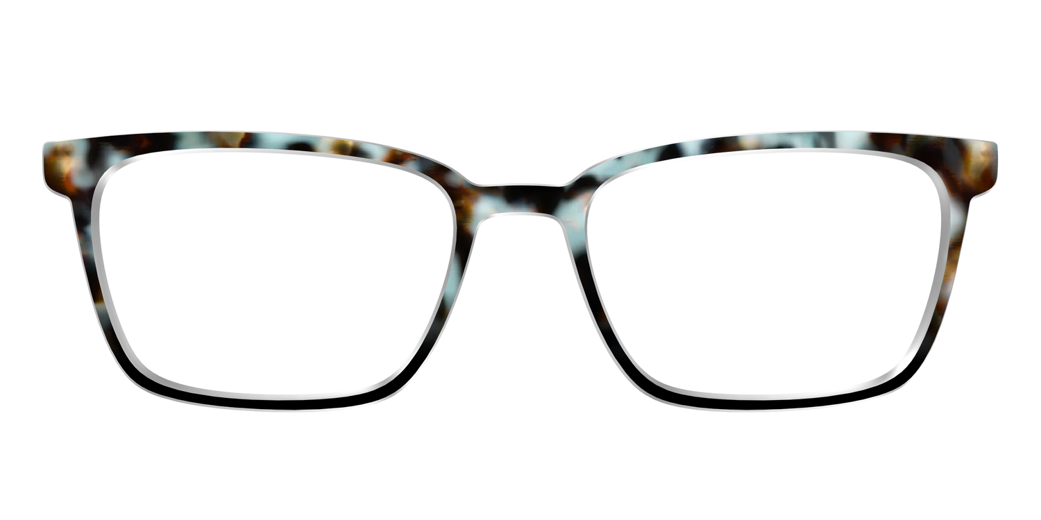 The Academic Tortoise - Front Top Image - Pair Eyewear