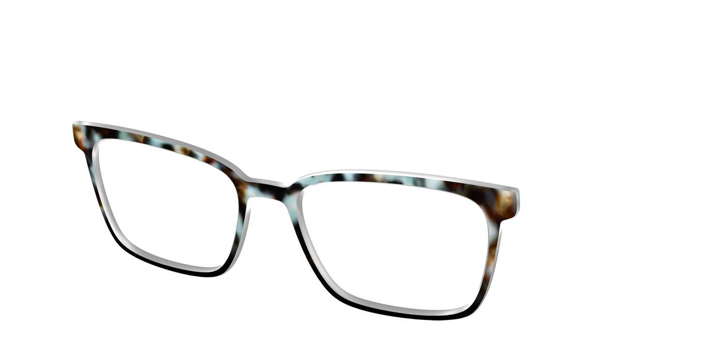 The Academic Tortoise - Angle Top Image - Pair Eyewear