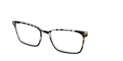 The Academic Tortoise - Angle Top Thumbnail - Pair Eyewear