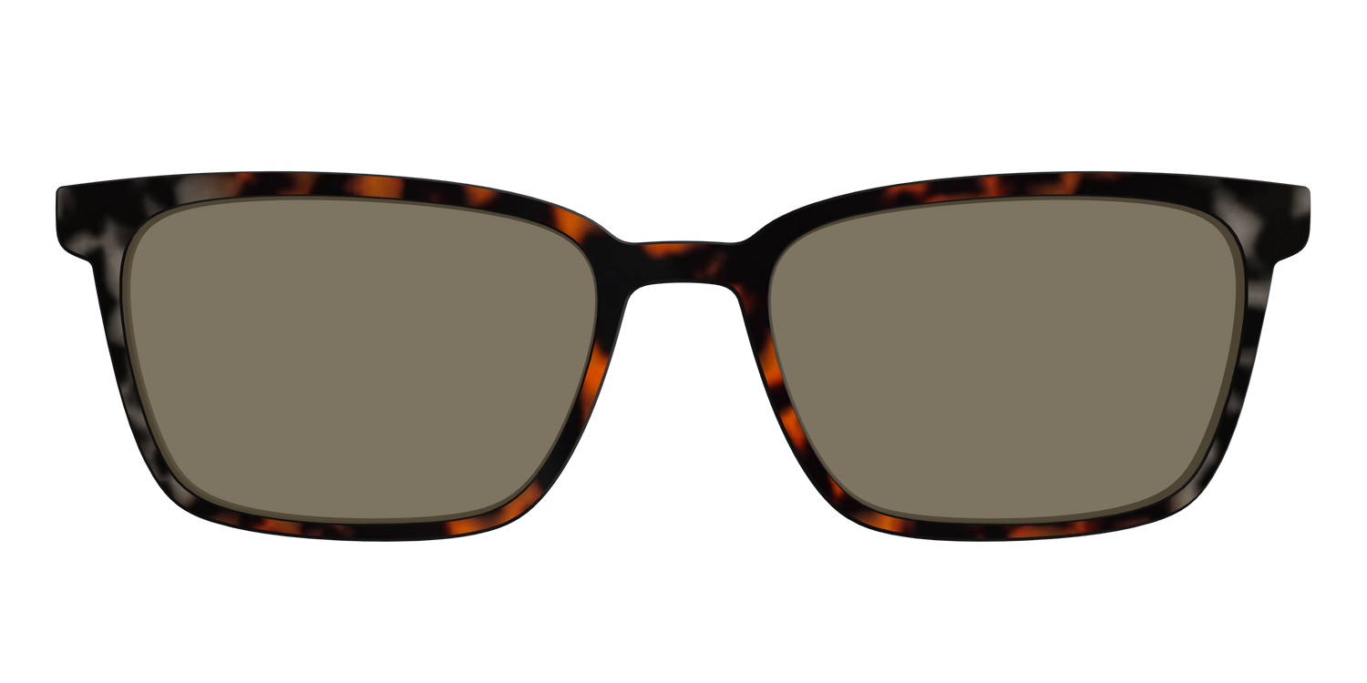 The Polarized Gray & Amber Tortoise Sun Top - Front Top Image - Pair Eyewear