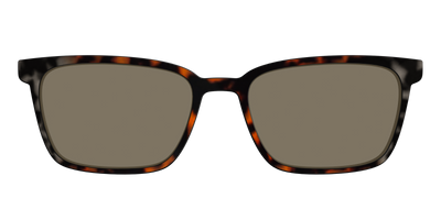 The Polarized Gray & Amber Tortoise Sun Top - Front Top Thumbnail - Pair Eyewear
