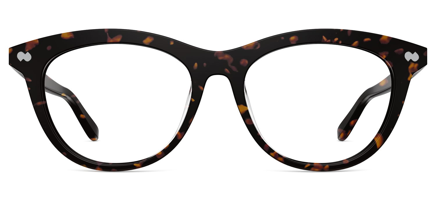 The Brook - Tortoise - Carousel1 - Pair Eyewear