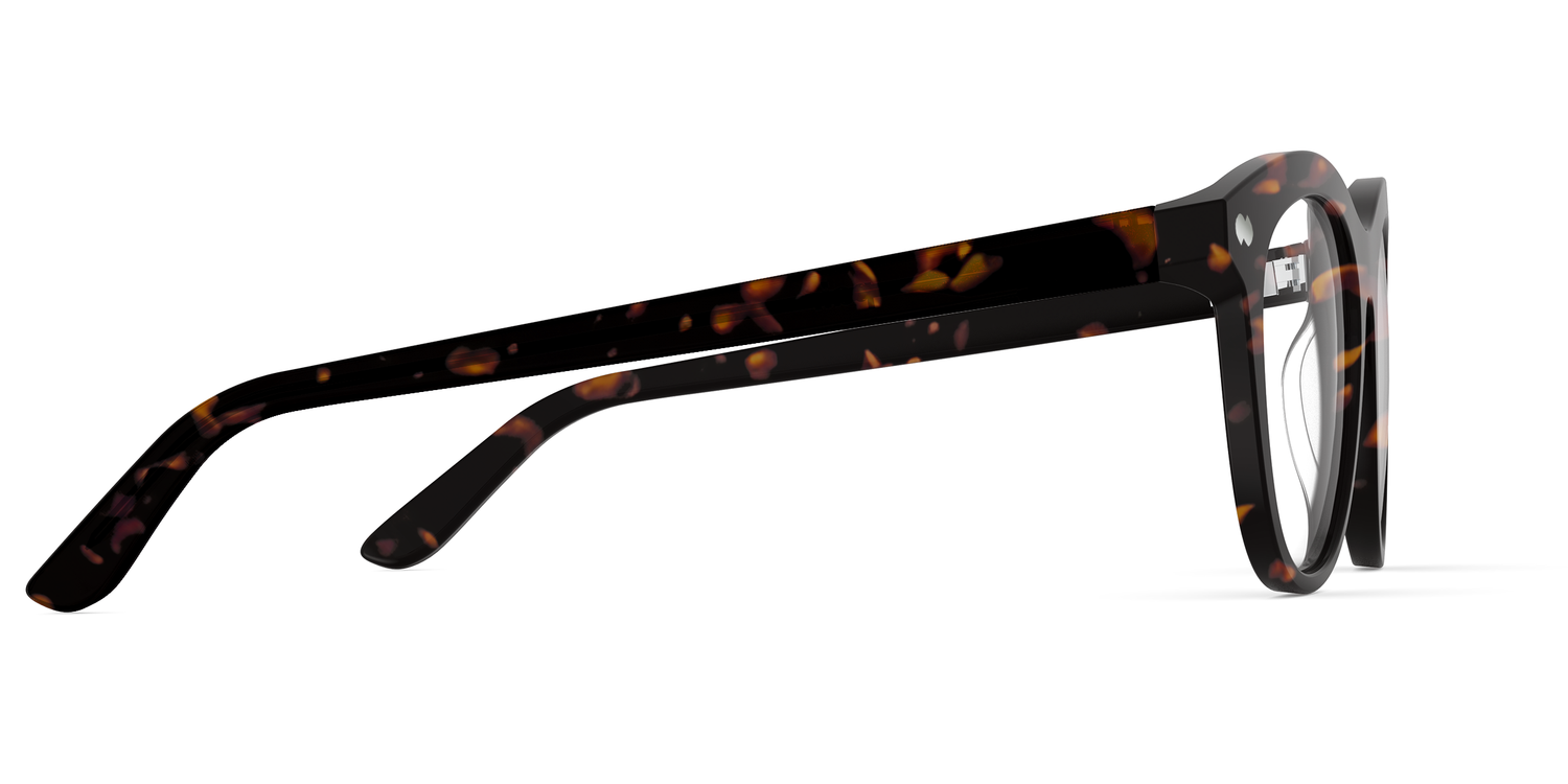 The Brook - Tortoise - Carousel3 - Pair Eyewear