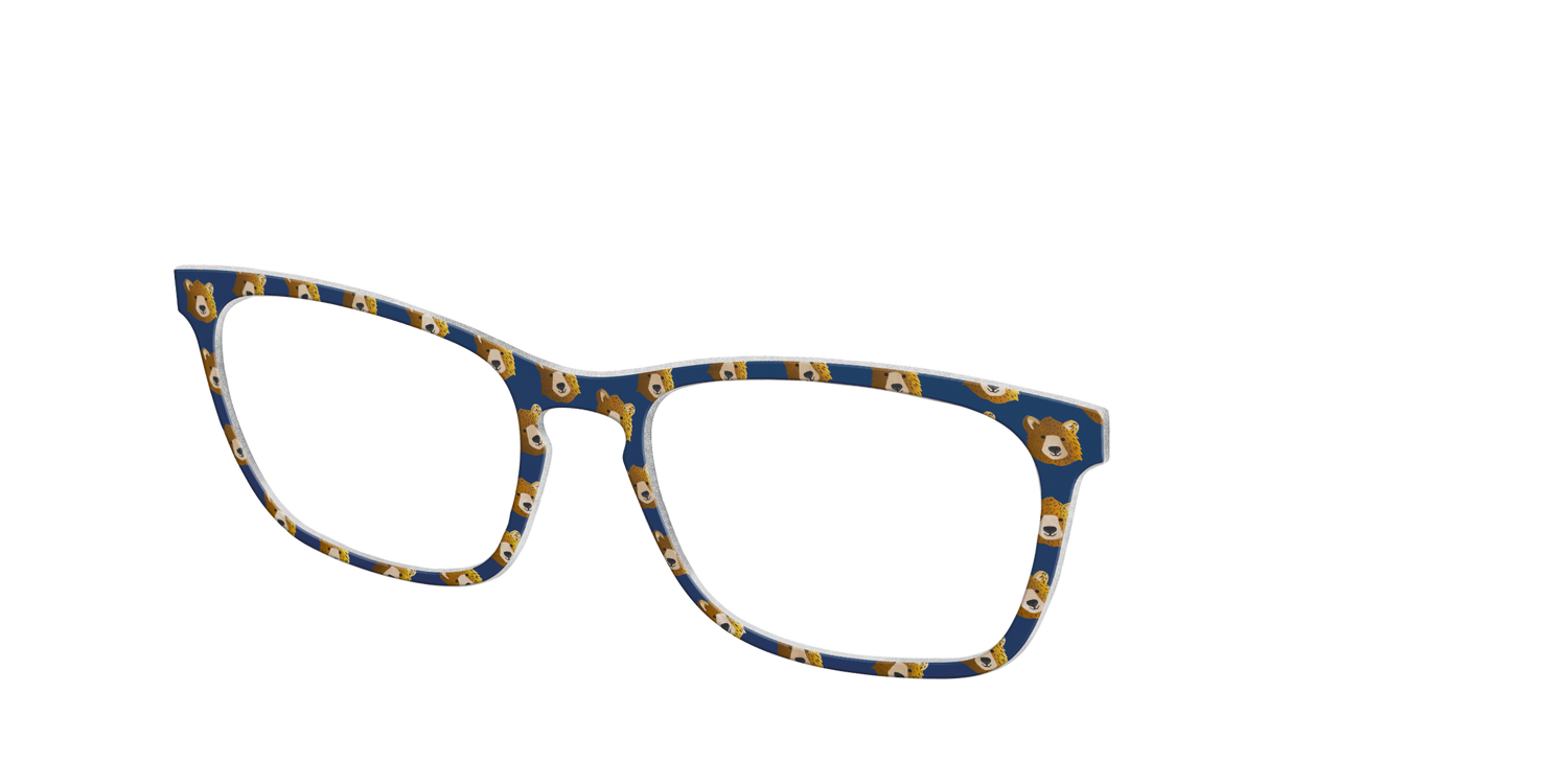 The Grizzly Bears - Angle Top Image - Pair Eyewear