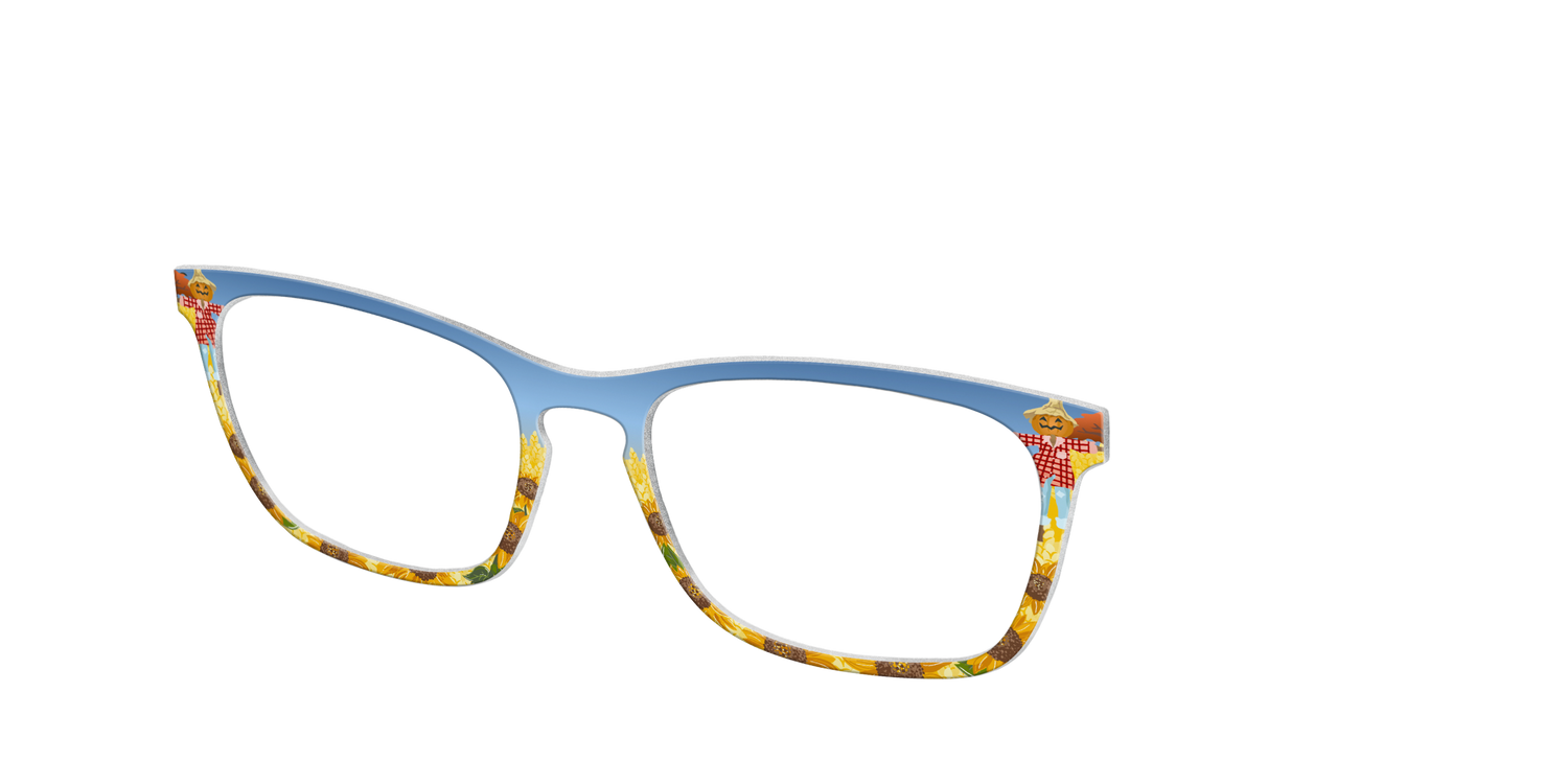 The Joyful Scarecrow - Angle Top Image - Pair Eyewear