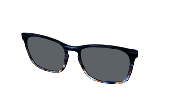 The Polarized Blue Horn Tortoise Sun Top - Angle Top Thumbnail - Pair Eyewear