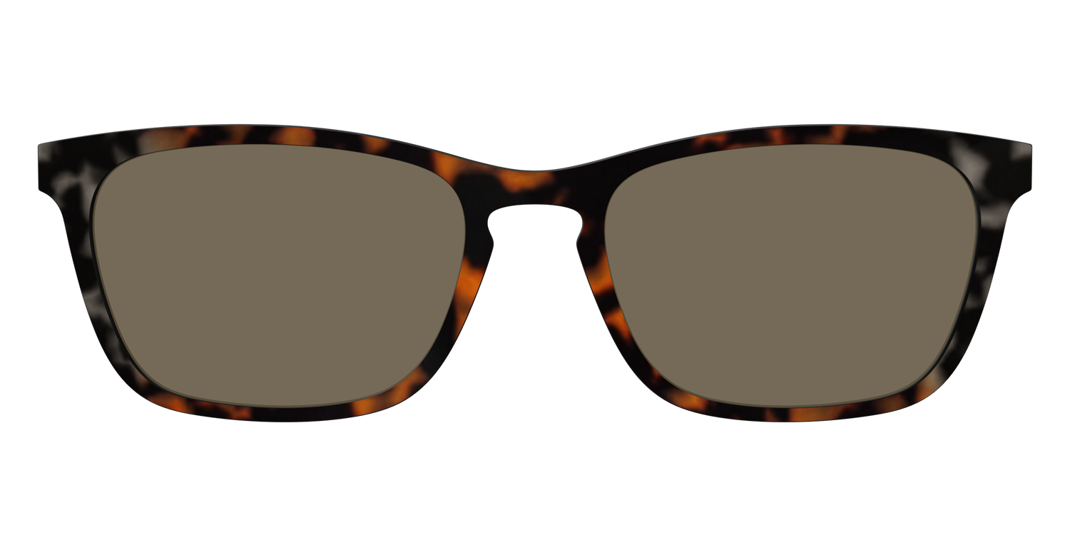 The Polarized Gray & Amber Tortoise Sun Top - Front Top Image - Pair Eyewear