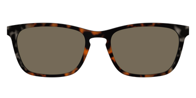 The Polarized Gray & Amber Tortoise Sun Top - Front Top Thumbnail - Pair Eyewear