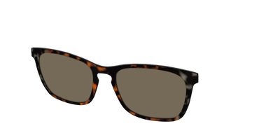 The Polarized Gray & Amber Tortoise Sun Top - Angle Top Thumbnail - Pair Eyewear