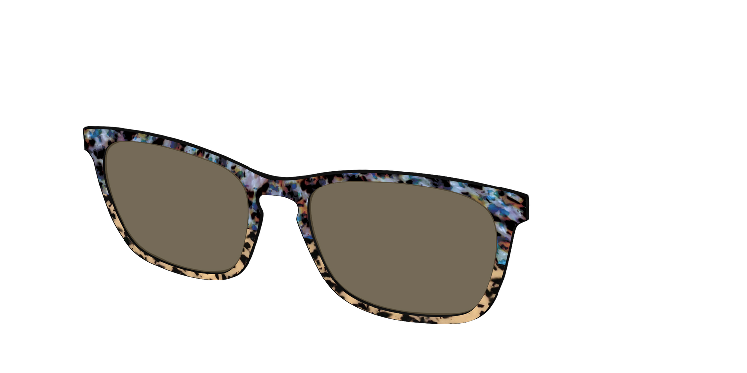 The Polarized Oasis Tortoise Split Sun Top - Angle Top Image - Pair Eyewear