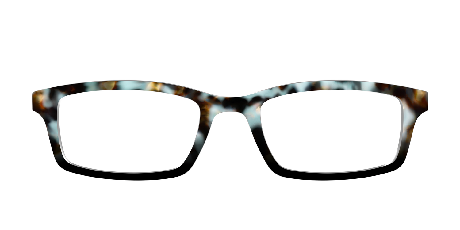 The Academic Tortoise - Front Top Image - Pair Eyewear