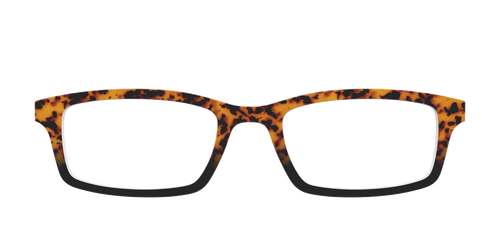 The Amber Tort - Pair Eyewear