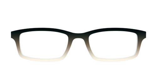 The Bark to Ivory Gradient - Pair Eyewear