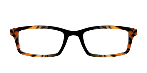 The Bengal Stripes - Pair Eyewear