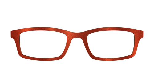 The Burnt Orange Shimmer - Pair Eyewear