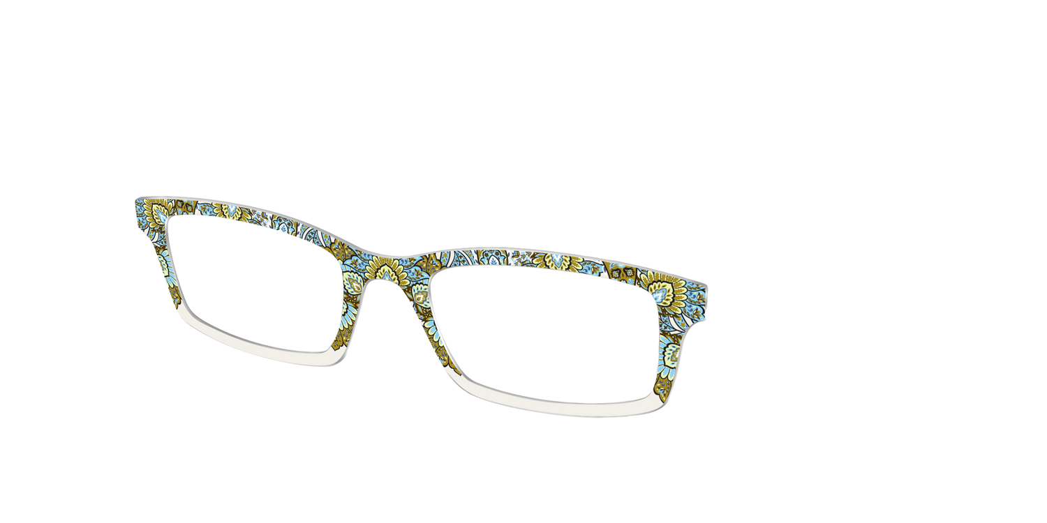 The Canopy Paisley Crown - Angle Top Image - Pair Eyewear