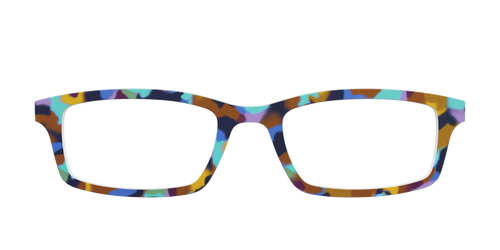 The Desert Tortoise - Pair Eyewear