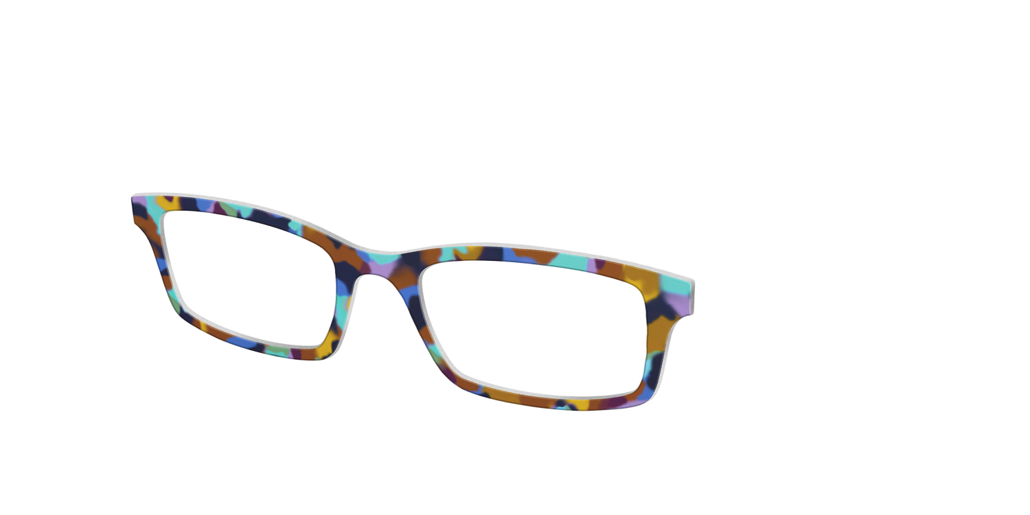 The Desert Tortoise - Angle Top Image - Pair Eyewear