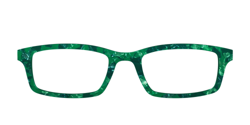 The Emerald Pearl Tortoise - Pair Eyewear