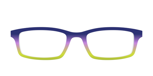 The Everglade Gradient - Pair Eyewear