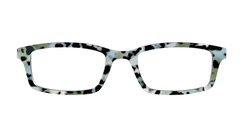 The Expressive Tortoise - Pair Eyewear