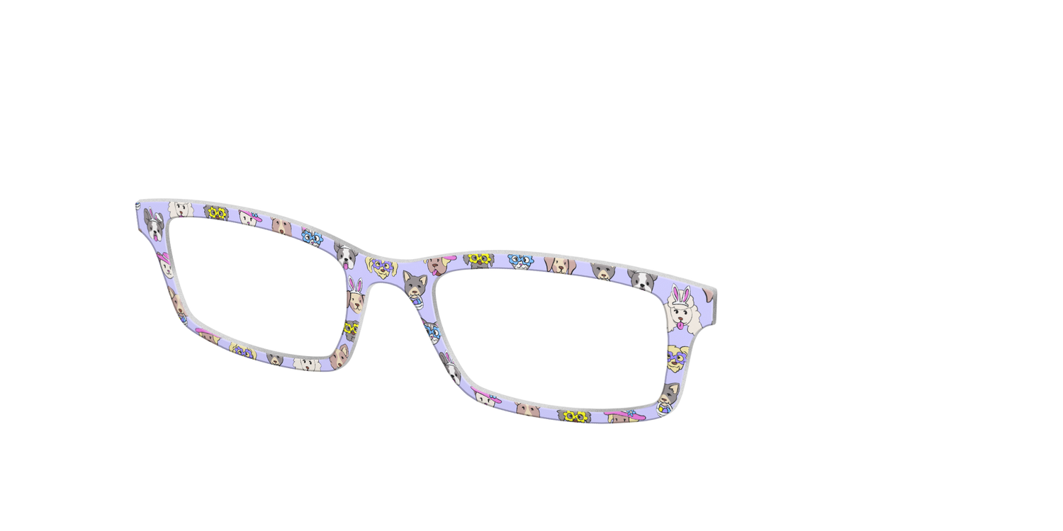 The Faithful Friends - Angle Top Image - Pair Eyewear