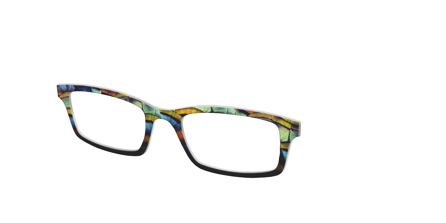 The Fall Feathers - Angle Top Image - Pair Eyewear