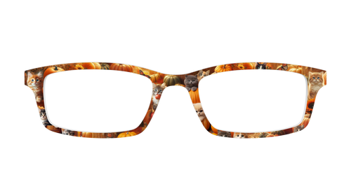 The Fall Kittens - Pair Eyewear