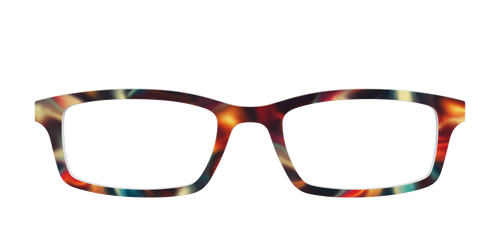 The Fool's Paradise - Pair Eyewear