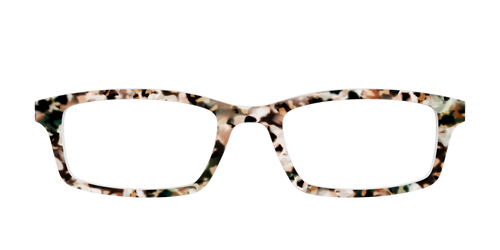 The Fortress Tortoise - Pair Eyewear