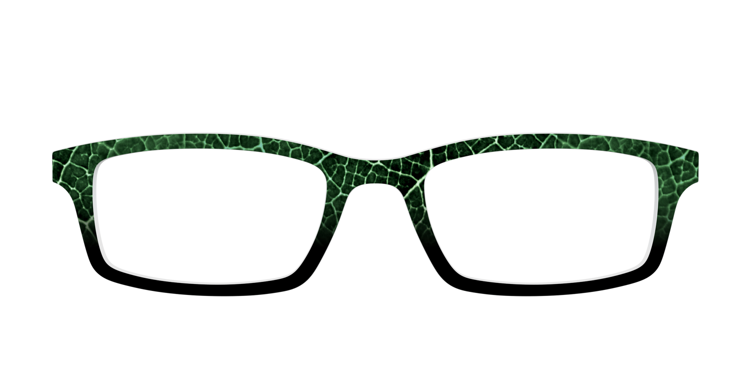 The Leafy Linework - Front Top Image - Pair Eyewear