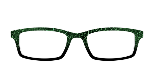 The Leafy Linework - Pair Eyewear