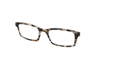 The Neutral Tort - Angle Top Thumbnail - Pair Eyewear