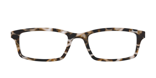 The Neutral Tort - Pair Eyewear