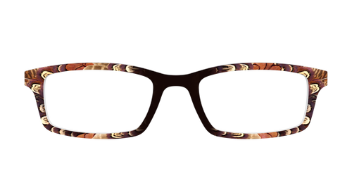 The Pheasant Feathers - Pair Eyewear