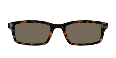 The Polarized Gray & Amber Tortoise Sun Top - Front Top Thumbnail - Pair Eyewear