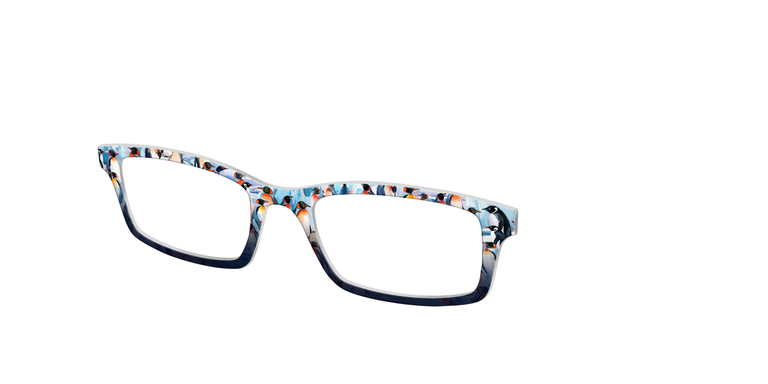 The Polar Penguins - Angle Top Image - Pair Eyewear