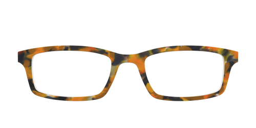 The Pumpkin Tortoise - Pair Eyewear