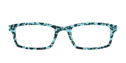 The Robin's Egg Tort - Pair Eyewear