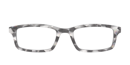The Silver Fractals - Pair Eyewear