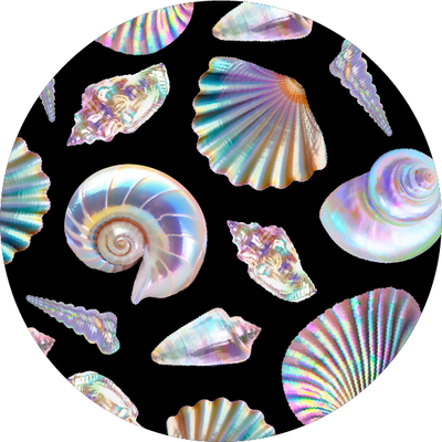 The Ally Gradient