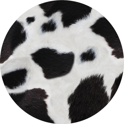 The Figgy Pudding