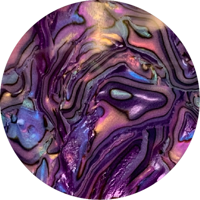 The Polarized Abalone Sun Top