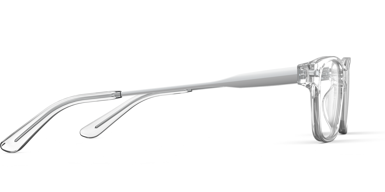 The Finley - Crystal Clear Acetate Silver Metal - Carousel13 - Pair Eyewear